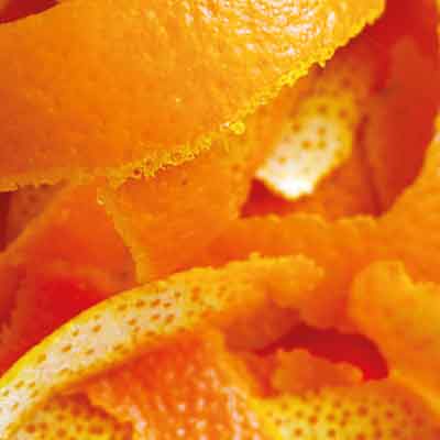 LIFE-RecOrgFert-PLUS-bucce di arancia