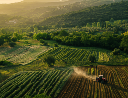 Il Progetto LIFE RecOrgFert PLUS parteciperà all’evento LIFE Platform Meeting on Soils